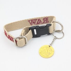 RAW Dog Enthusiastic Tan Dog Collar